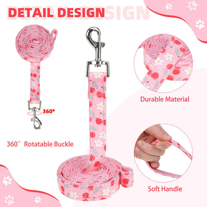 KOOLTAIL Dog Harness for Small Medium Dogs,Dog Harness and Leash Set