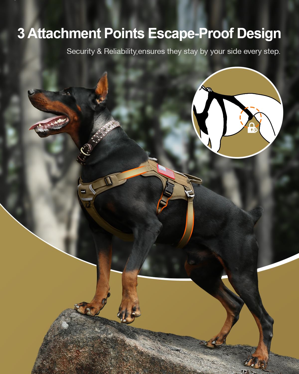 FAYOGOO Tactical Dog Harness for Small and Medium Breed Mesh Harness