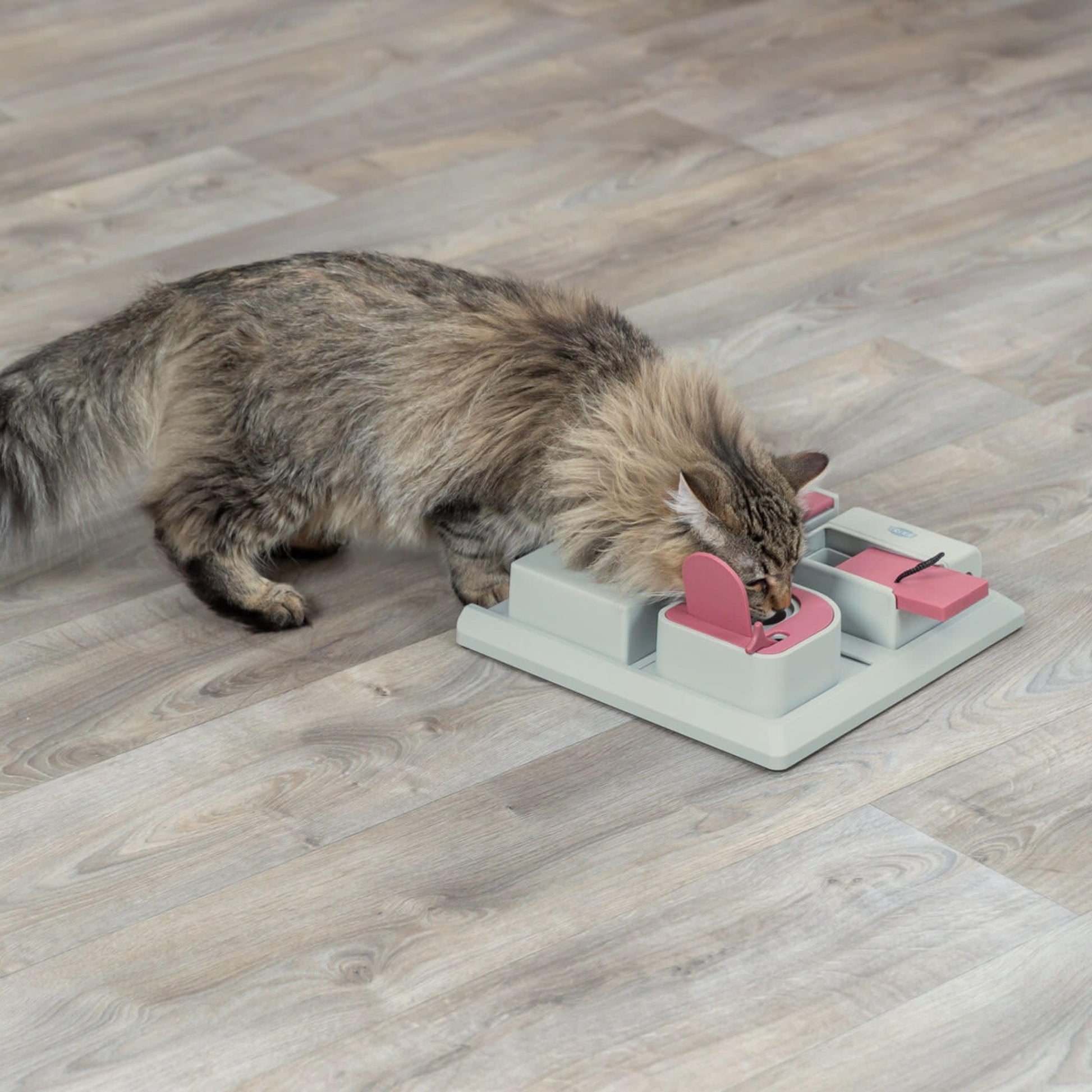 TRIXIE Cat Activity Poker Box Strategy Game Interactive Puzzle Toy