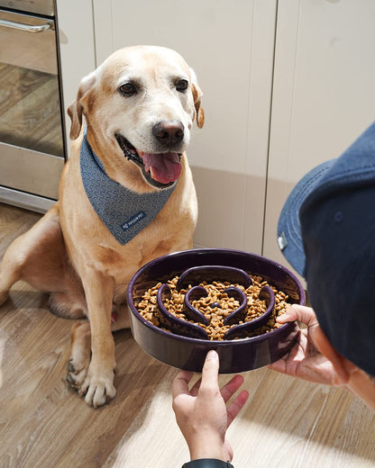 LE TAUCI Slow Feeder Dog Bowls Ceramic, 3 Cups Slow Feeding Dog Puzzle