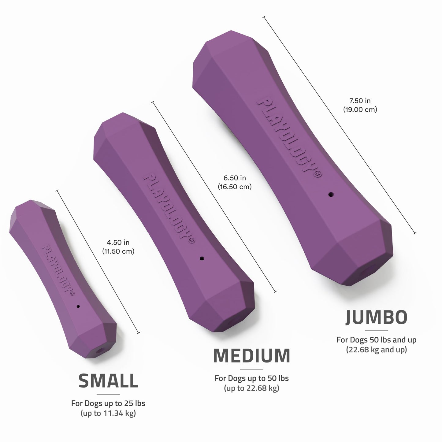 Playology Dog Toys, Squeaky Chew Stick for Dogs, Value 2-Pack, Chew