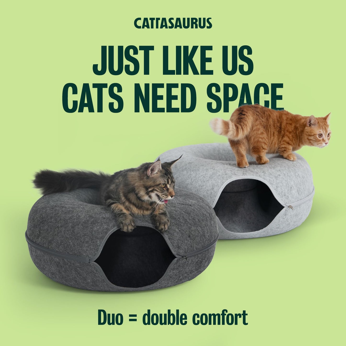 Cattasaurus Peekaboo Cat Cave Duo Jumbo Set, Extra Spacious Cat Bed