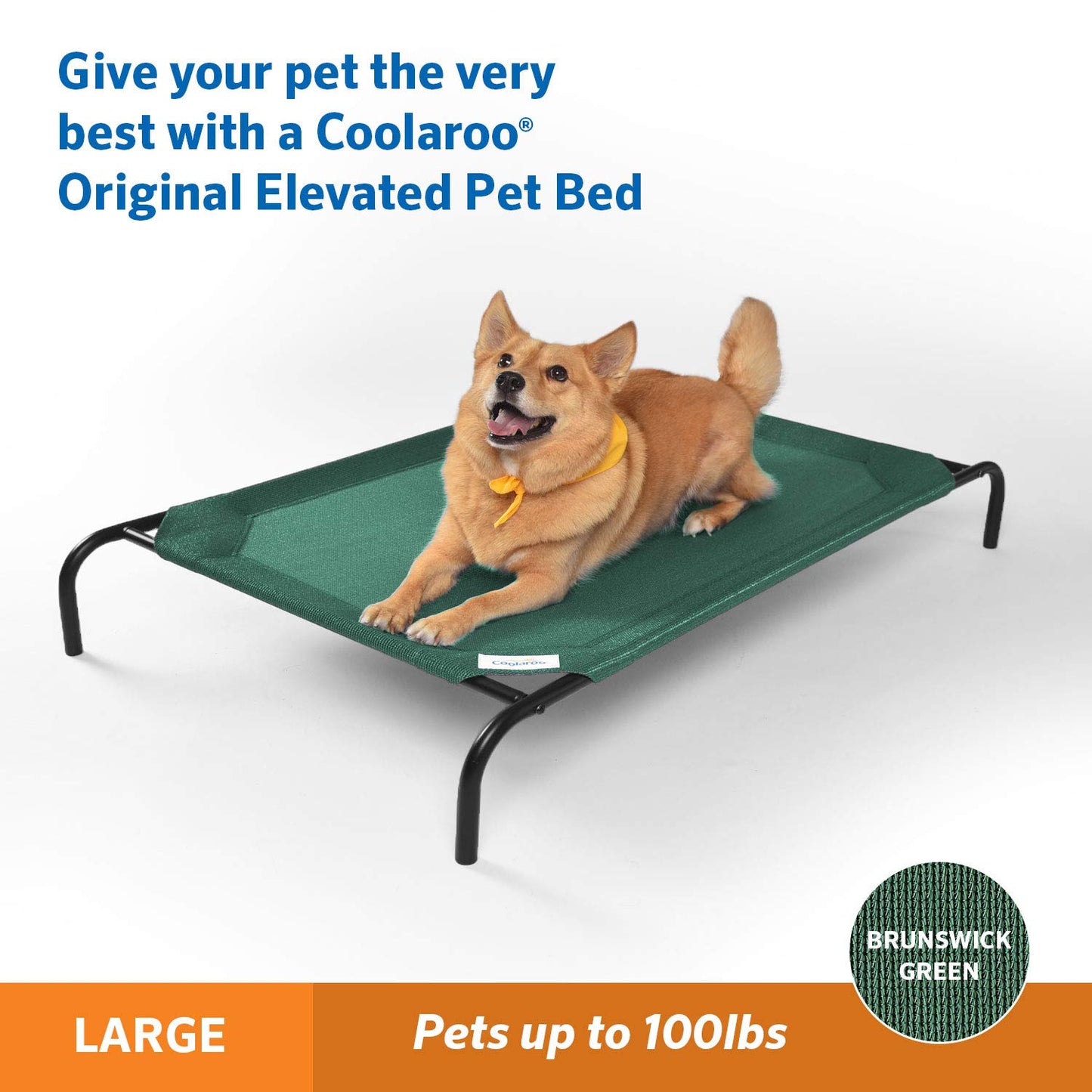 Gale Pacific Coolaroo The Original Cooling Elevated Dog Bed, Bed