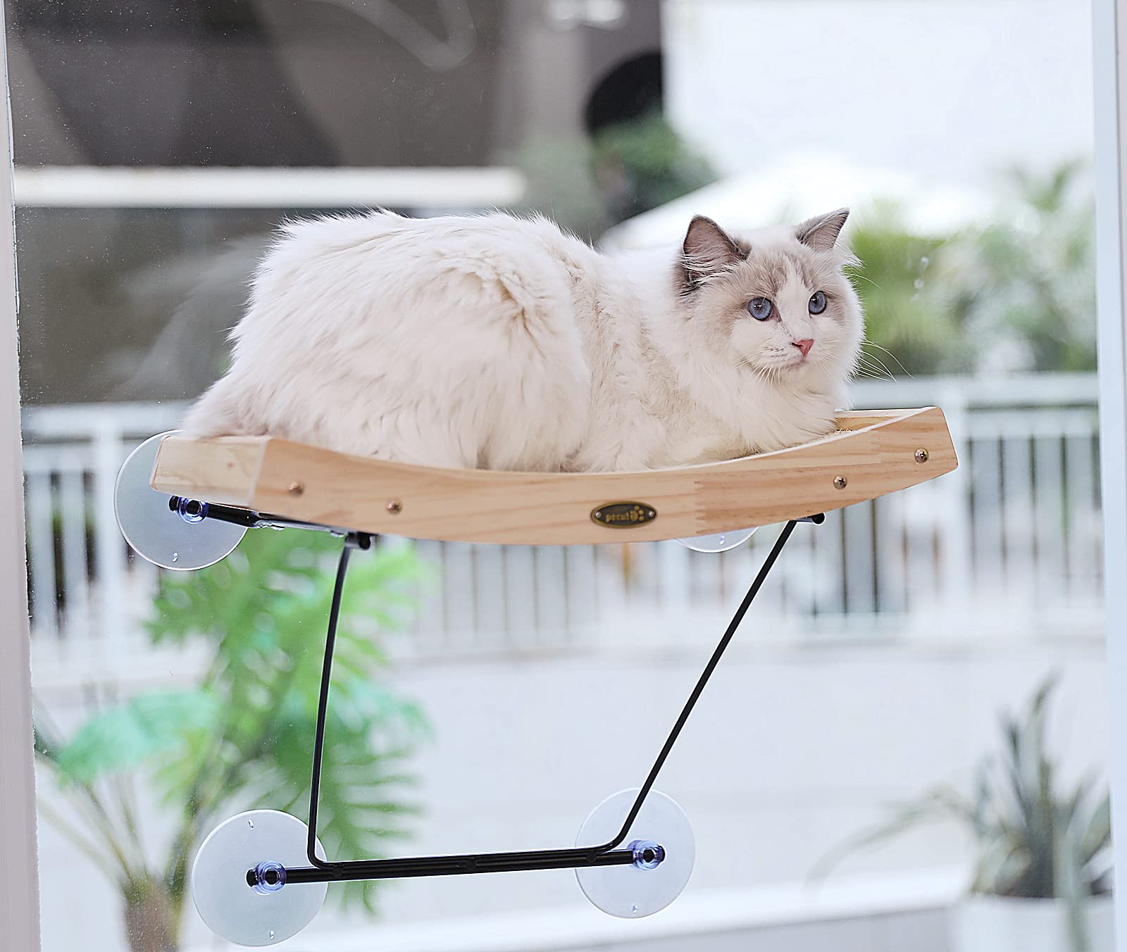 Pecute Cat Window Perch Sisal Scratcher 1, Cat Hammock for Scratcher