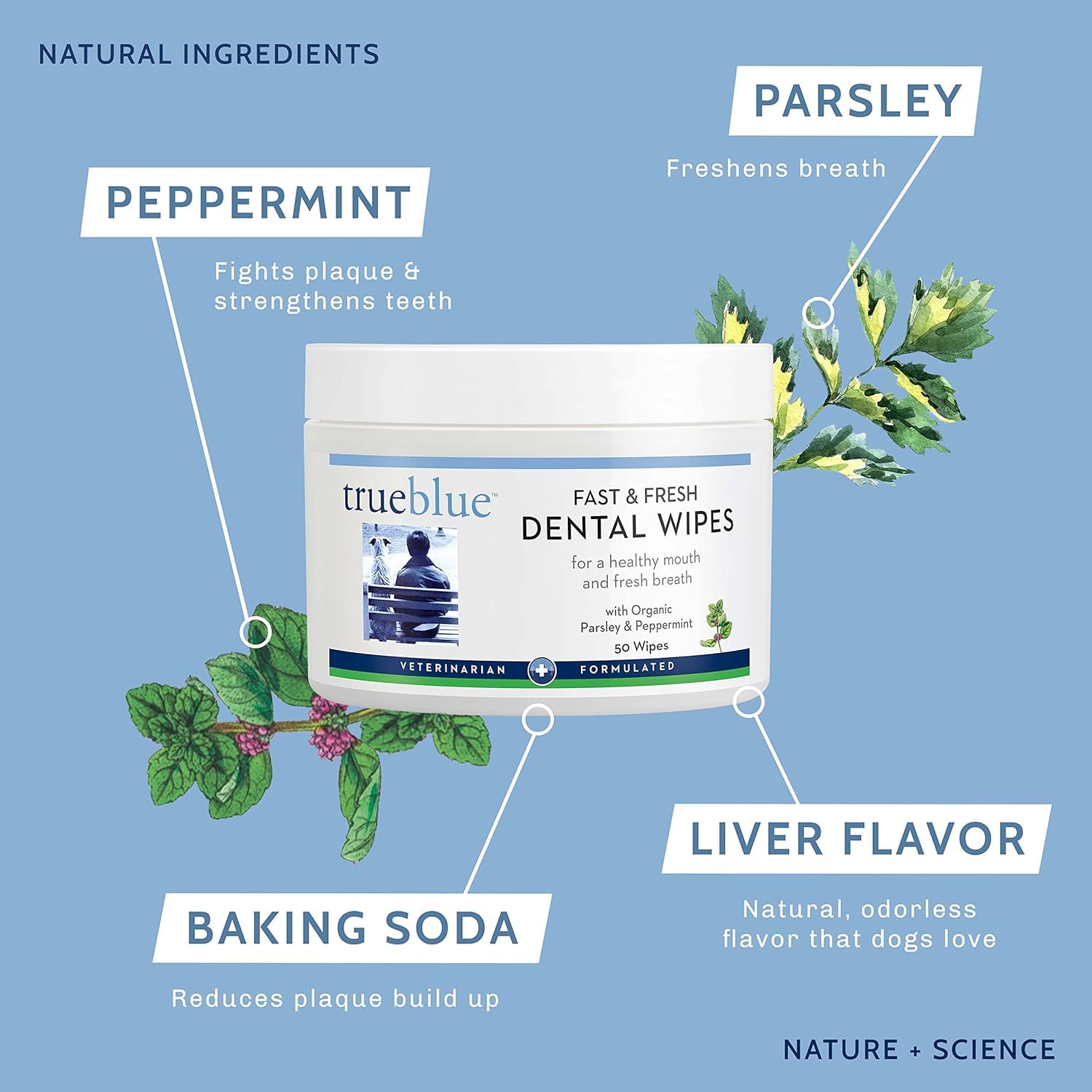 TrueBlue Parsley Peppermint Fast and Fresh Dog Dental Wipes