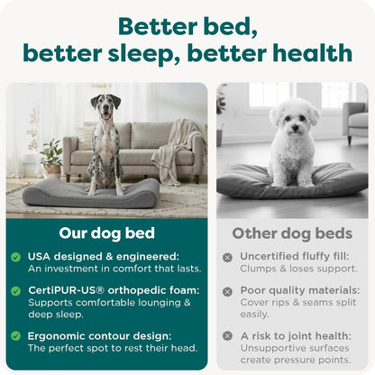 Furhaven Orthopedic Dog Bed for Large Dogs w/ Removable Washable Bed
