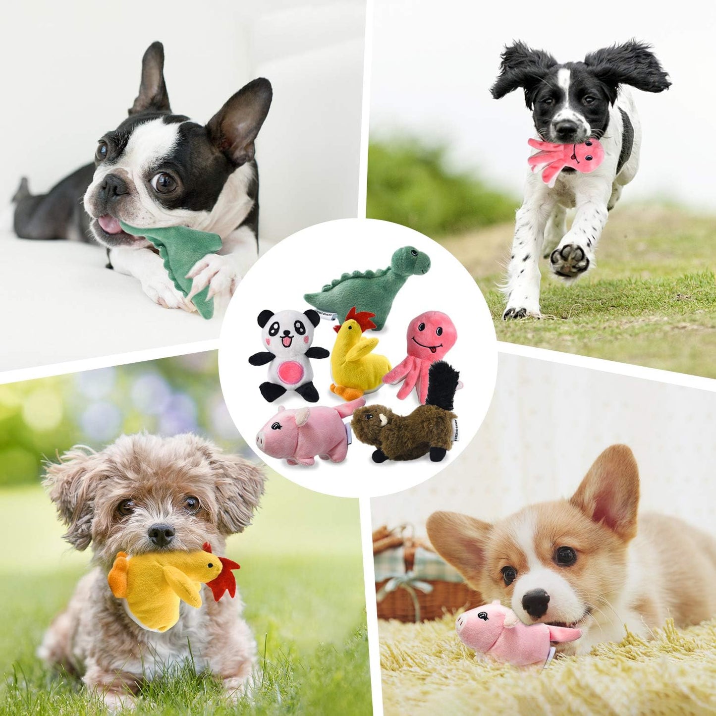 LEGEND SANDY Squeaky Plush Dog Toy 6 Pack for Puppy, Small Plush