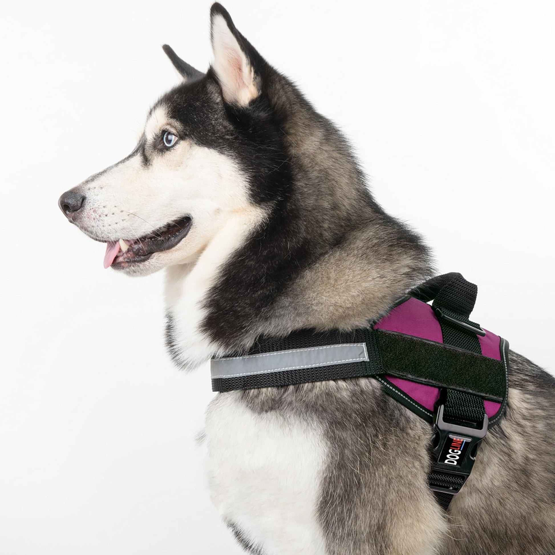 Dogline Reflective No-Pull Adjustable Vest with Handle for Harness