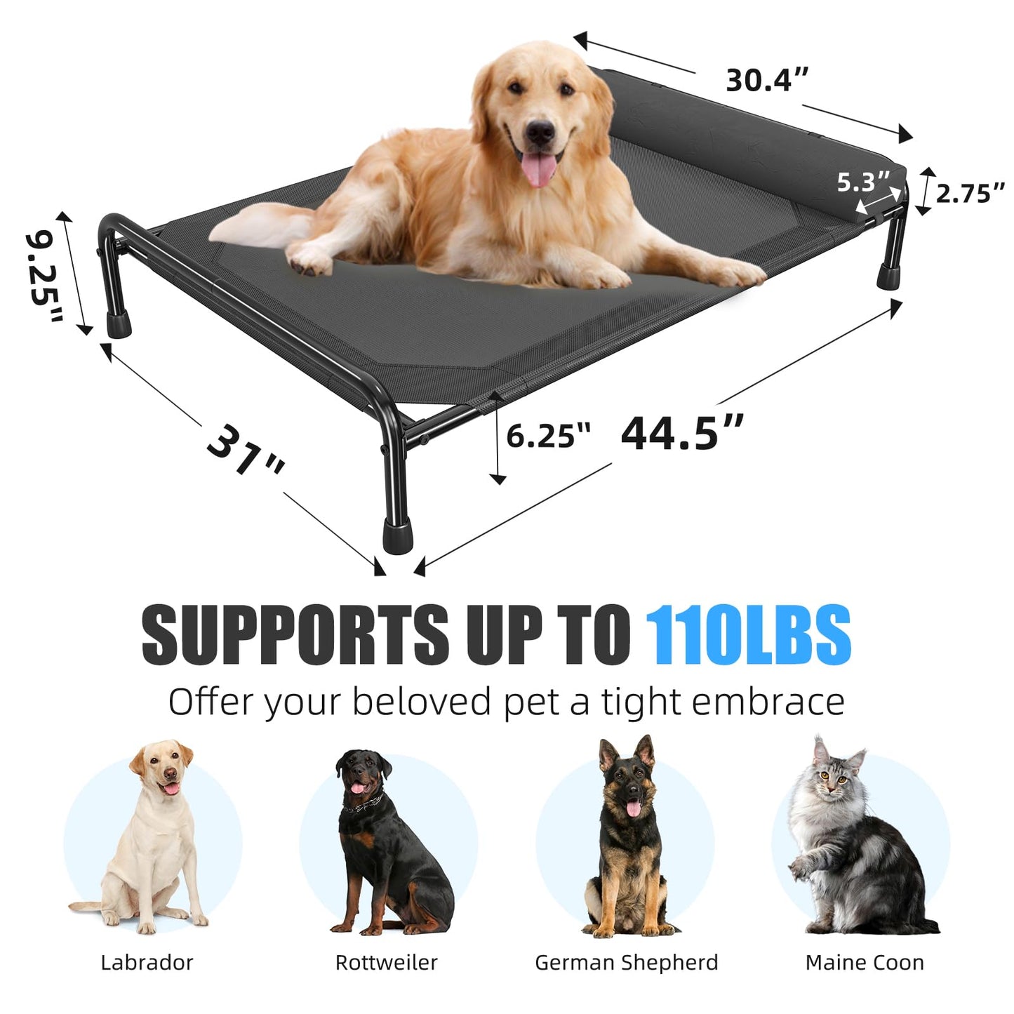 Simple Trending Elevated Dog Bed for Large Dogs, Cooling Raised Bed