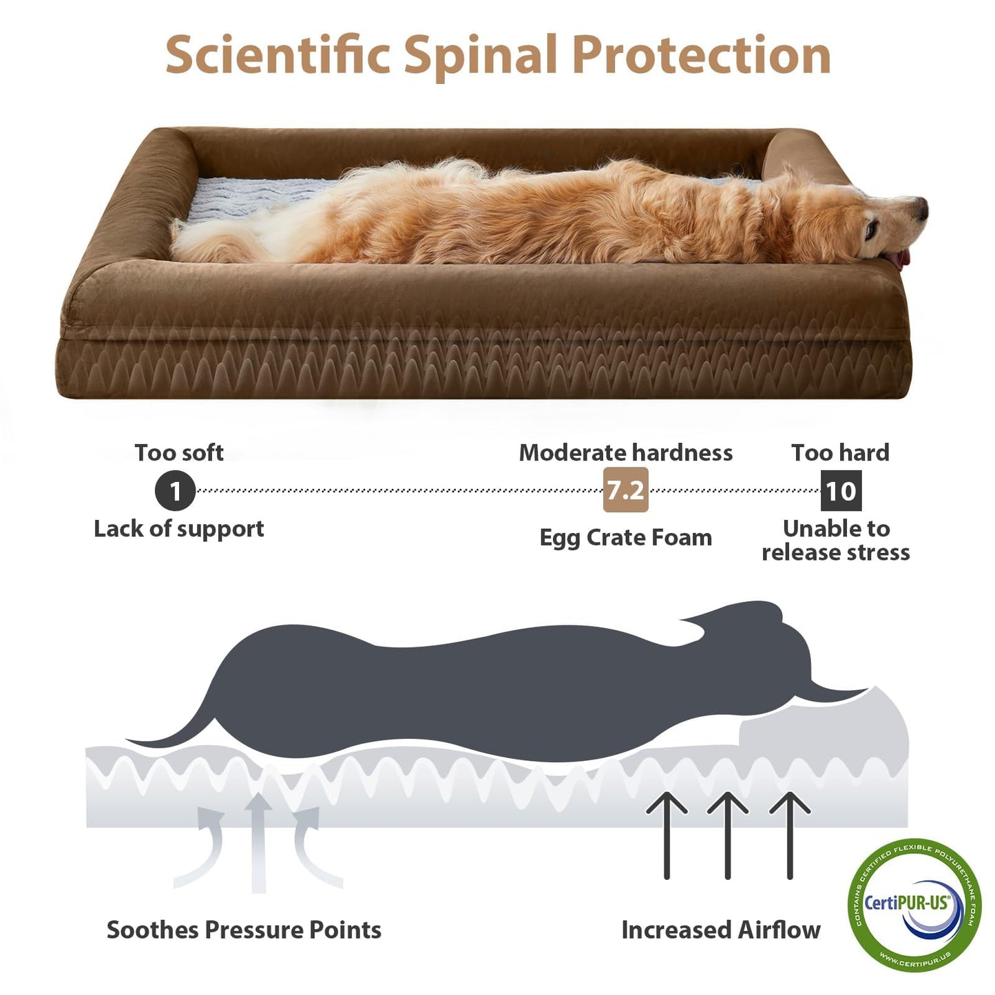 WNPETHOME XL Extra Large Dog Bed, Washable Dog Couch with Bed