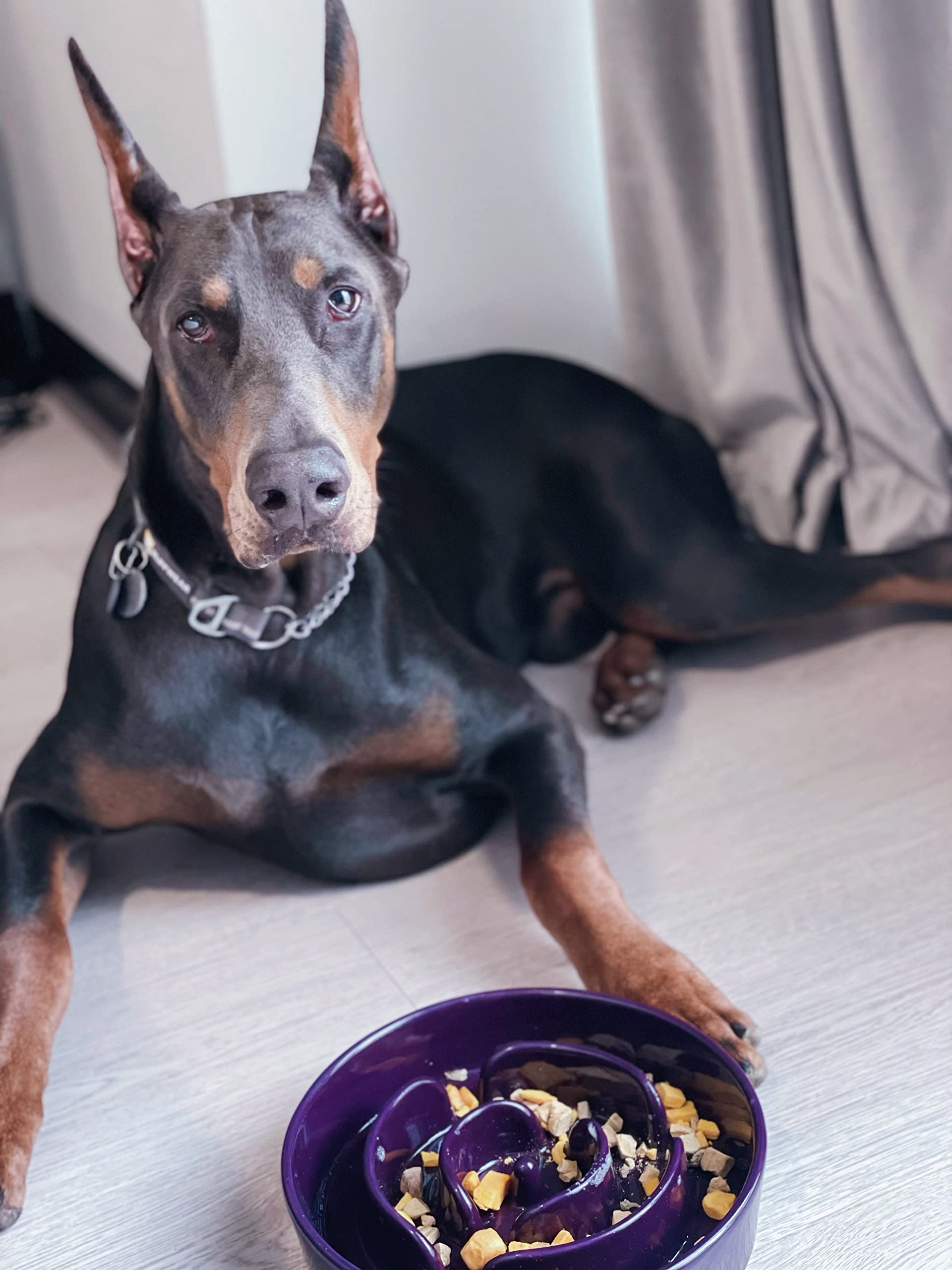 LE TAUCI Slow Feeder Dog Bowls Ceramic, 3 Cups Slow Feeding Dog Puzzle