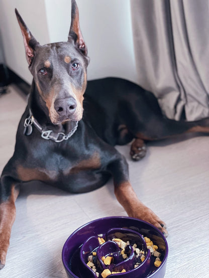 LE TAUCI Slow Feeder Dog Bowls Ceramic, 3 Cups Slow Feeding Dog Puzzle