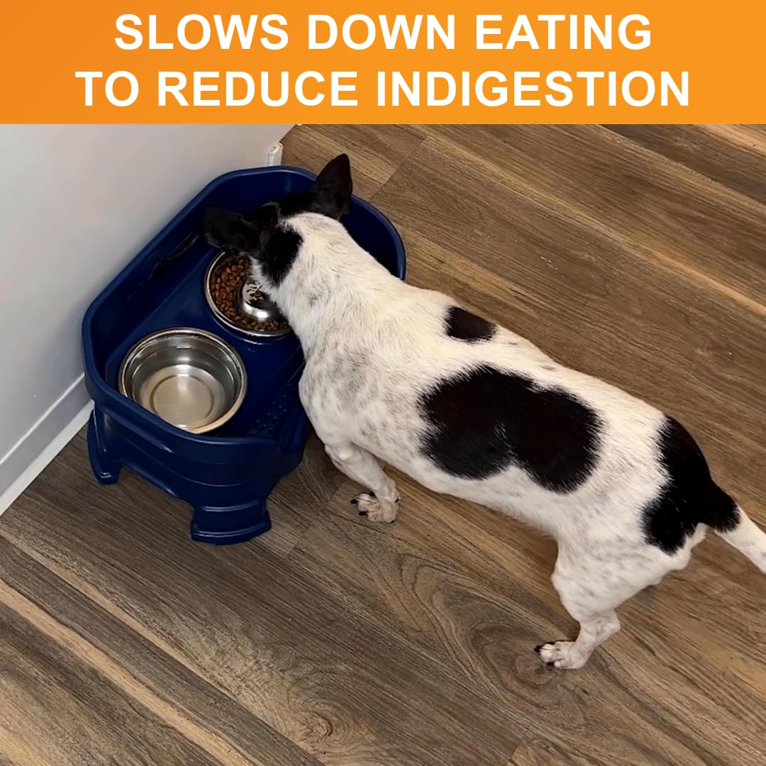 Neater Pet Brands Stainless Steel Slow Feed Dog Bowl for Fast Bowl