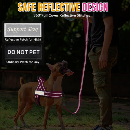 SlowTon No Pull Dog Harness Heavy Duty Dog Harness and Leash Set