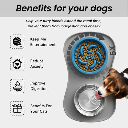 YINEYA Slow Feeder Dog Bowls Stainless Steel Food and Water Bowl Mat