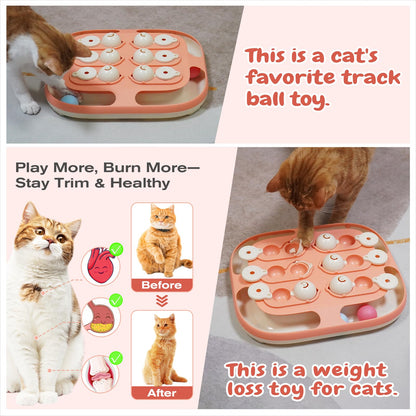 KADTC Cat Puzzle Feeder Toy, Large Size, 2 Ways to Play, 2 Balls