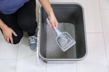 Petmate Enclosed Cat Litter Boxes with Hinged Lid and Wide Top Box