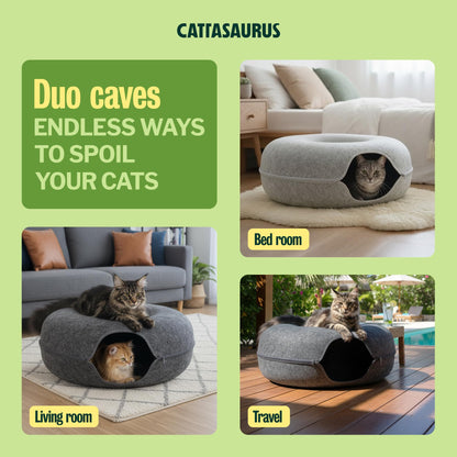 Cattasaurus Peekaboo Cat Cave Duo Jumbo Set, Extra Spacious Cat Bed