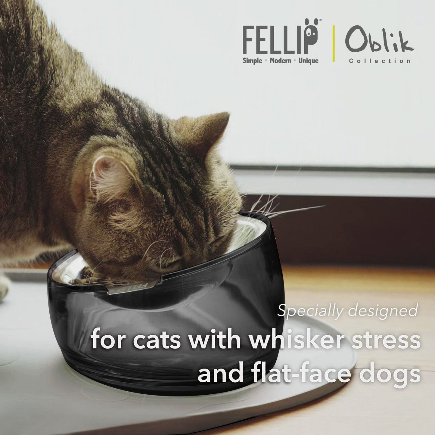 Felli Oblik Elevated Cat Bowl Removable Stainless Steel Wide Dish Bowl
