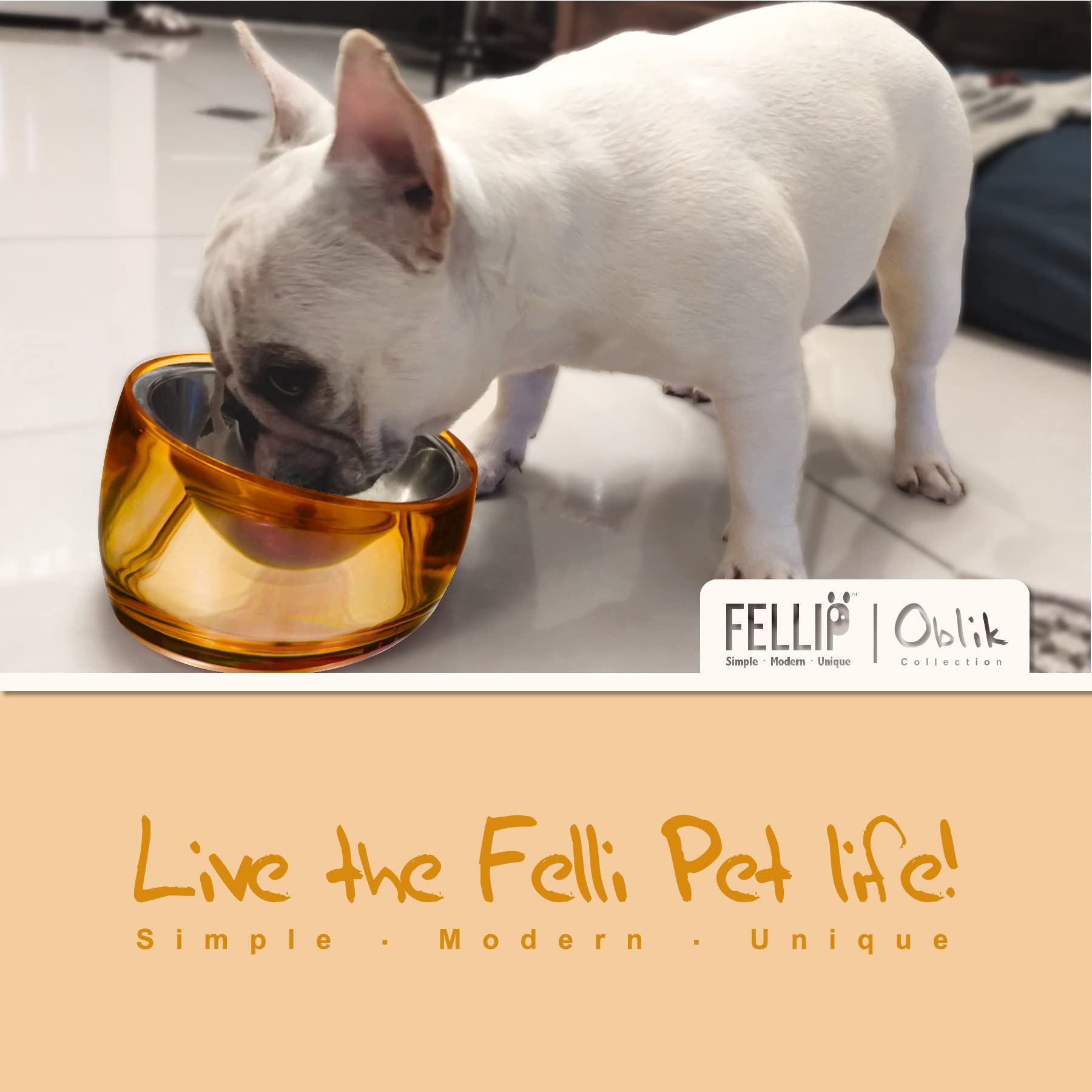 Felli Pet Oblik Acrylic Raised Dog Food Water Bowl Stainless Bowl