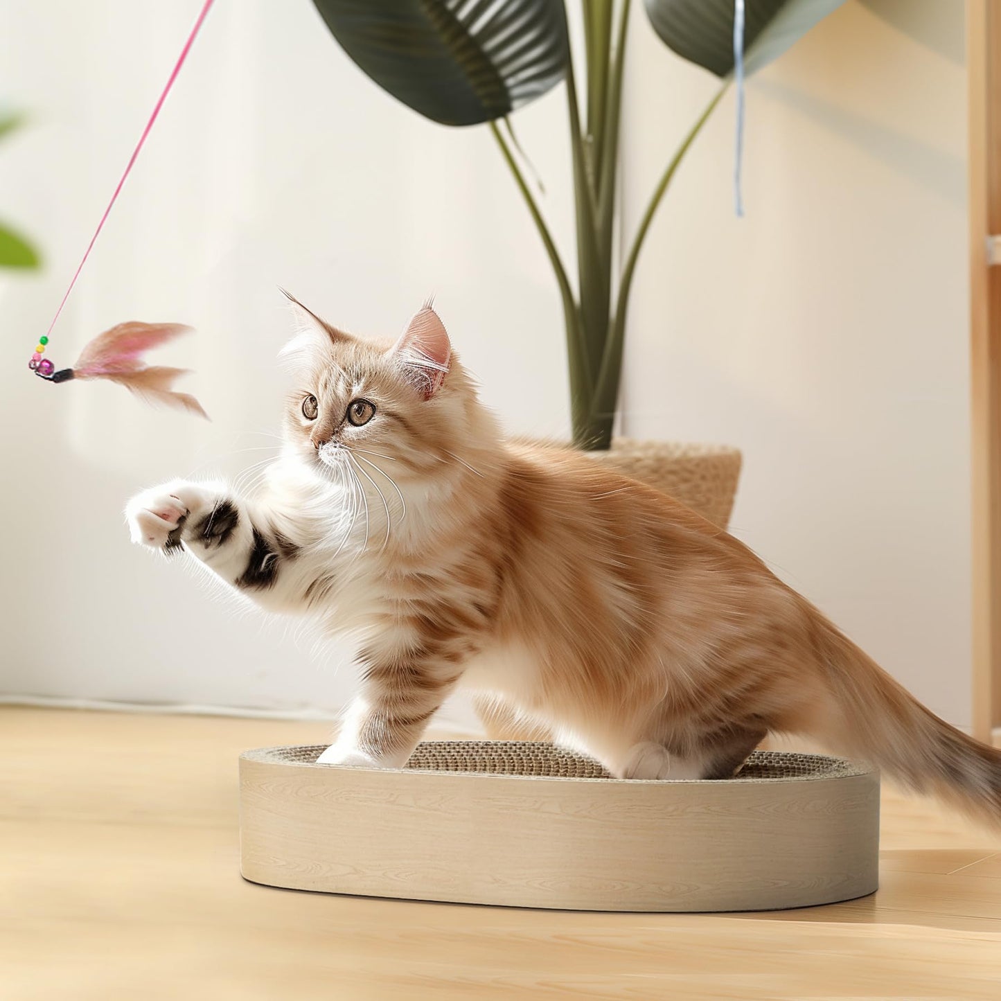 ComSaf Cat Scratching Board Cat Scratcher Bed for Indoor Bed