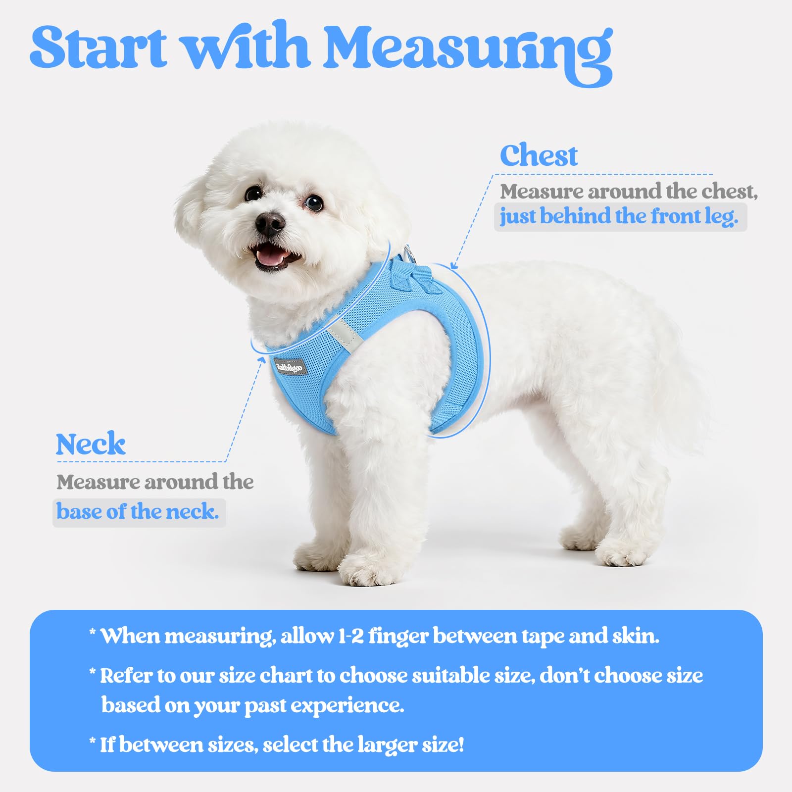 rabbitgoo Dog Harness Small Sized and Leash Set, Step in Soft Set