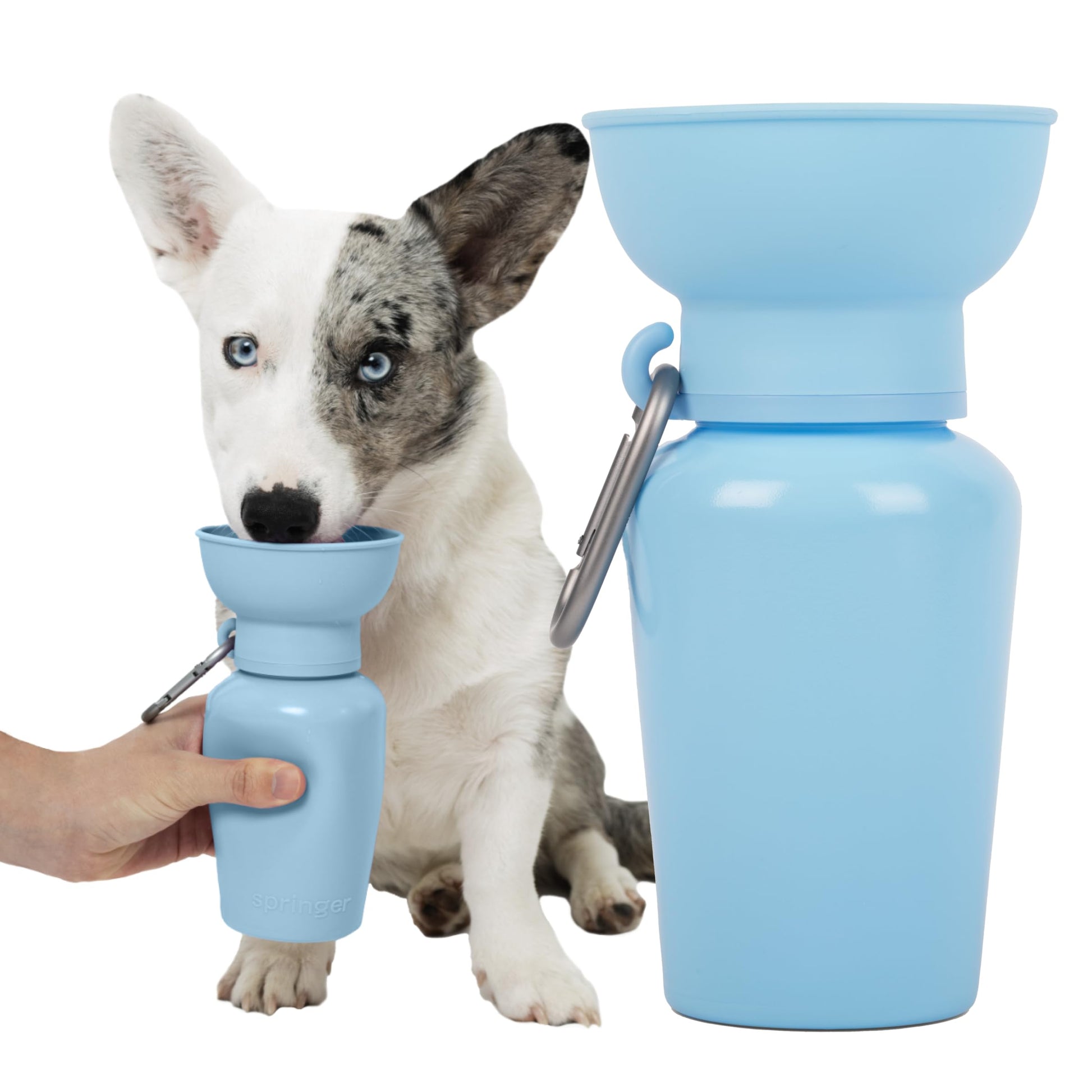 Springer Flip Dog Water Bottle, Portable Drinking Feeder with Bowl