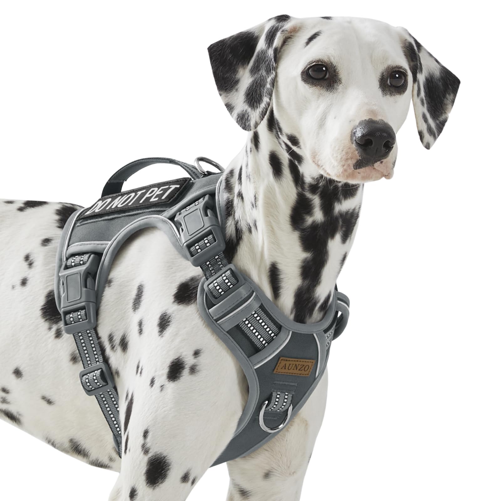 No Pull Dog Harness for Large Dogs with 2 Metal Clips, Easy Harness