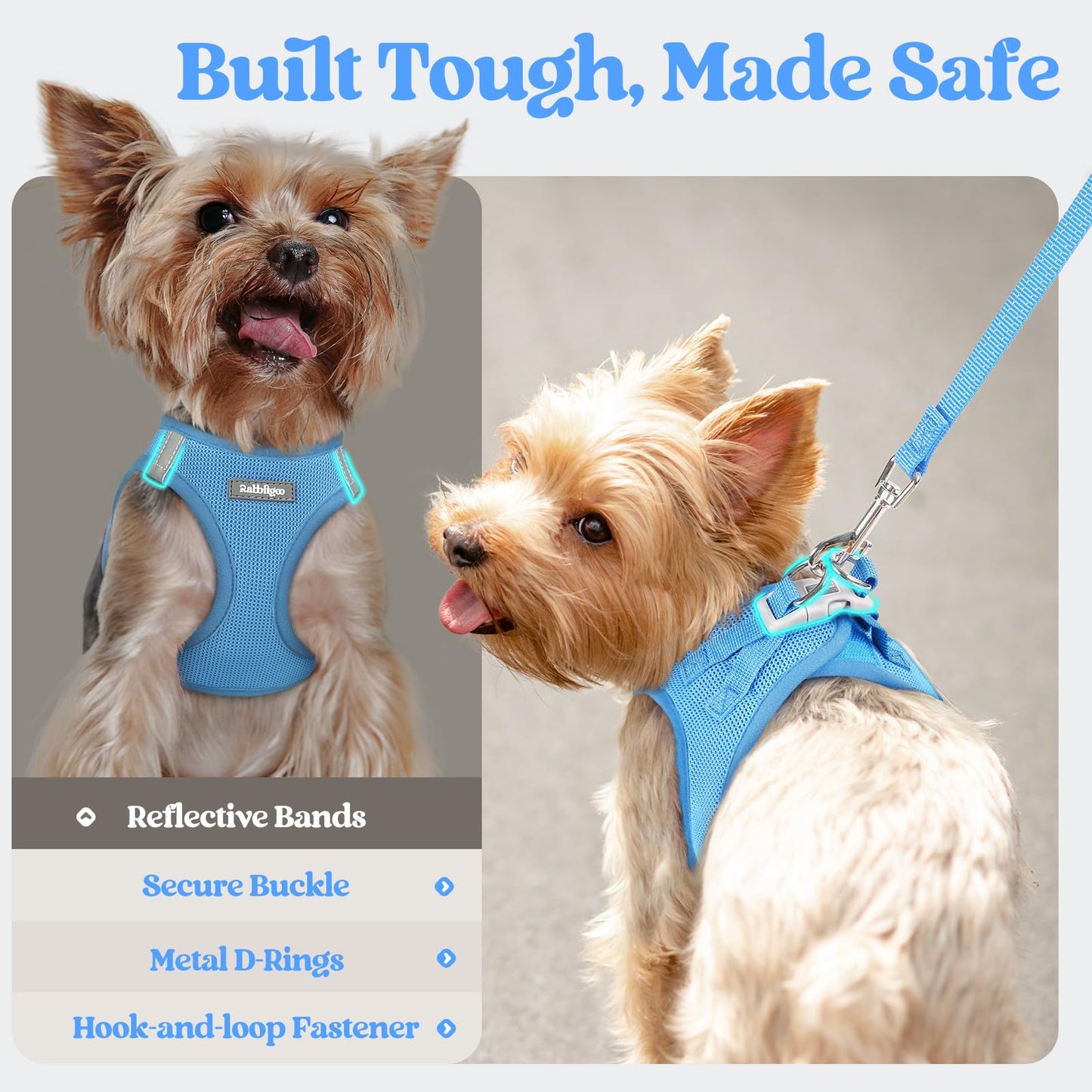 rabbitgoo Dog Harness Small Sized and Leash Set, Step in Soft Set