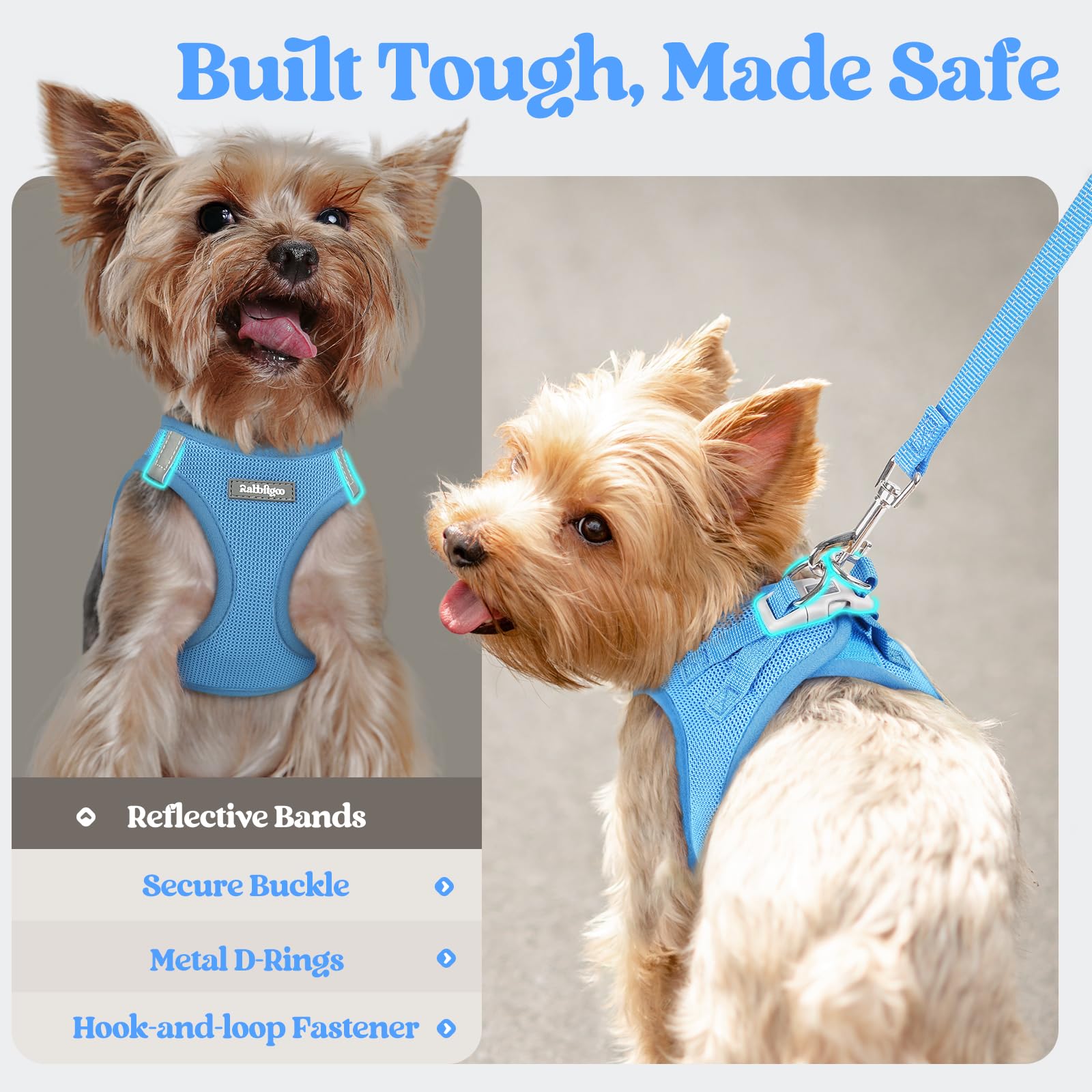 rabbitgoo Dog Harness Small Sized and Leash Set, Step in Soft Set
