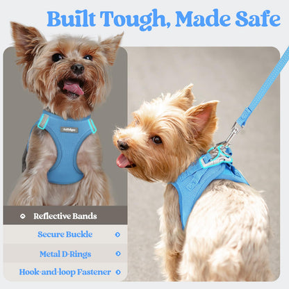 rabbitgoo Dog Harness Small Sized and Leash Set, Step in Soft Set