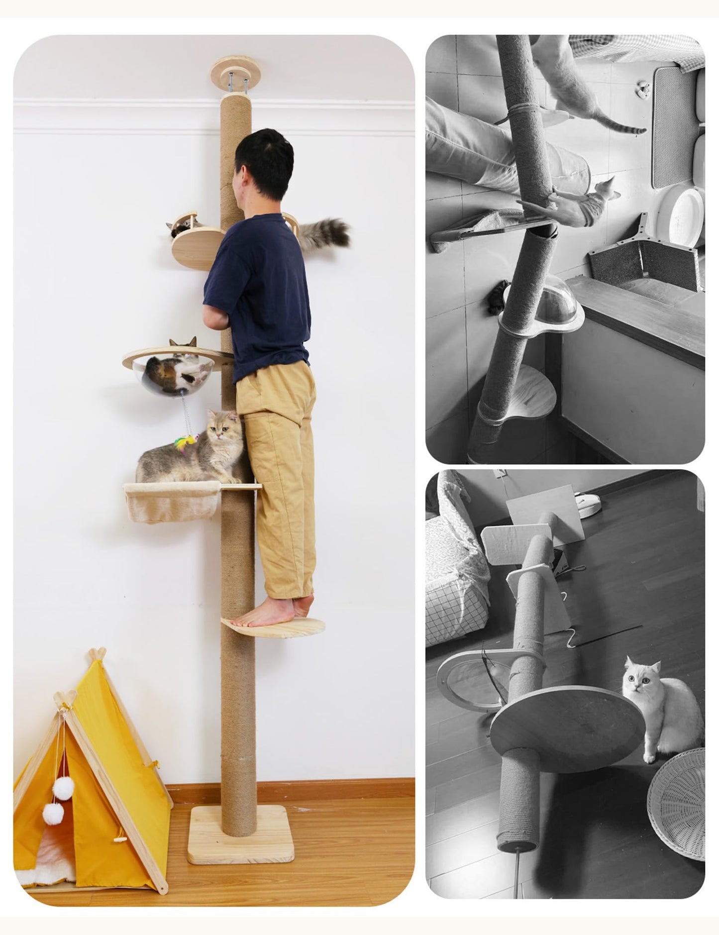 Floor-to-Ceiling Cat Tree with Natural Sisal Rope Scratching Post