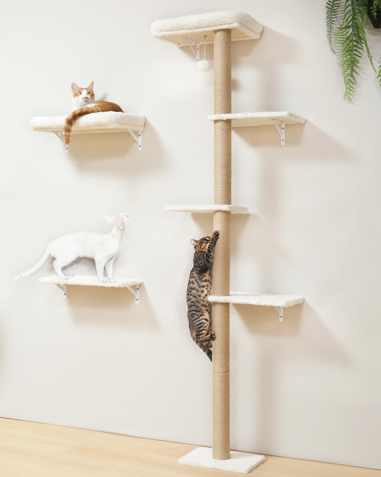 FUKUMARU Cat Wall Shelves Set, Stable Wall Mounted Tree, Cushion