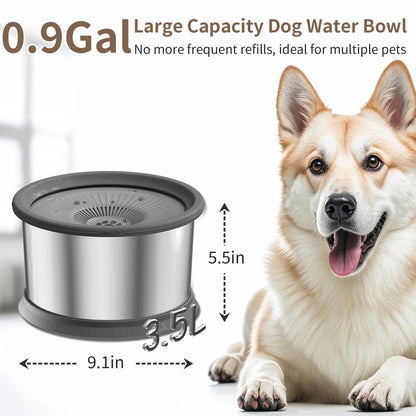 Dog Water Bowl No Spill Stainless Steel Water Bowl for Dogs No Mat