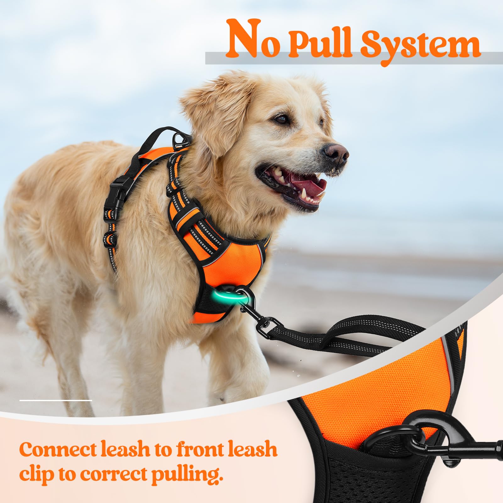 rabbitgoo Dog Harness No Pull with 2 Leash Clips, Adjustable Leash