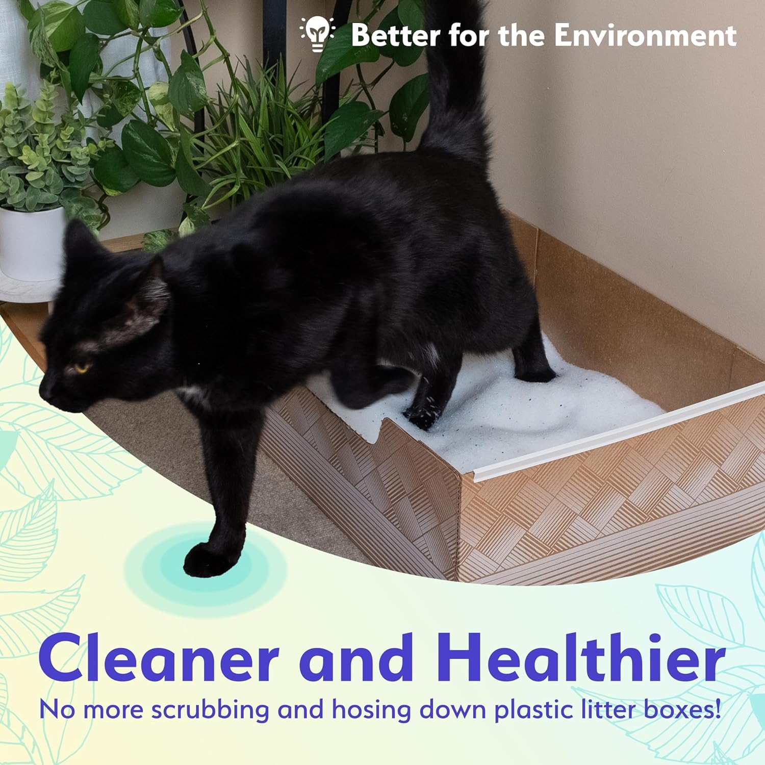 Leakproof Disposable 2-Pack Cat Litter Box Only Made in The USA Box