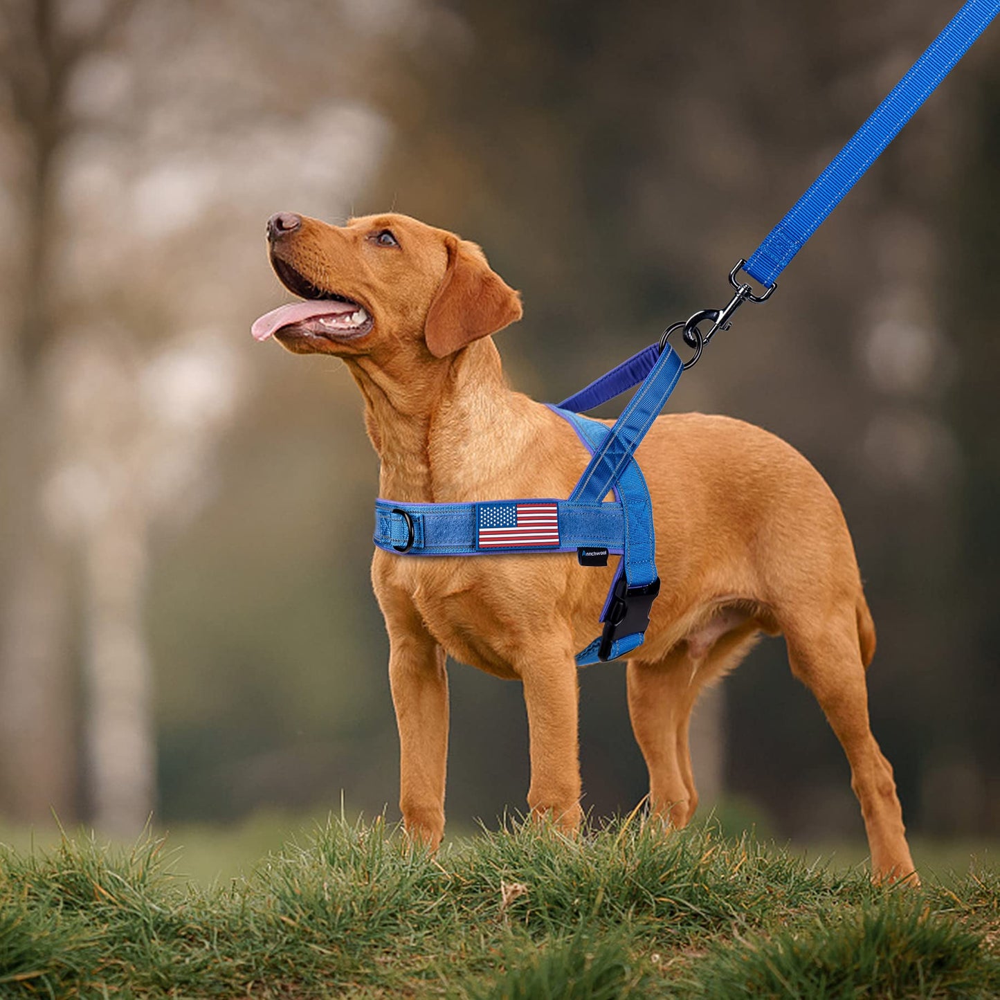 Annchwool No Pull Dog Harness with Soft Padded Harness