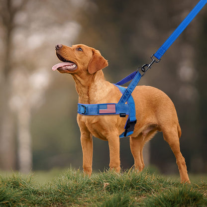 Annchwool No Pull Dog Harness with Soft Padded Harness