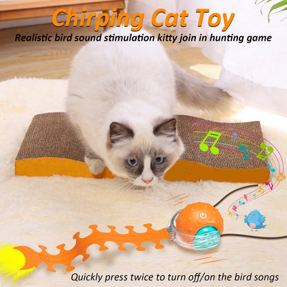 Waaiio Interactive Cat Toy with Centipede Tail,Fast Rolling Ball