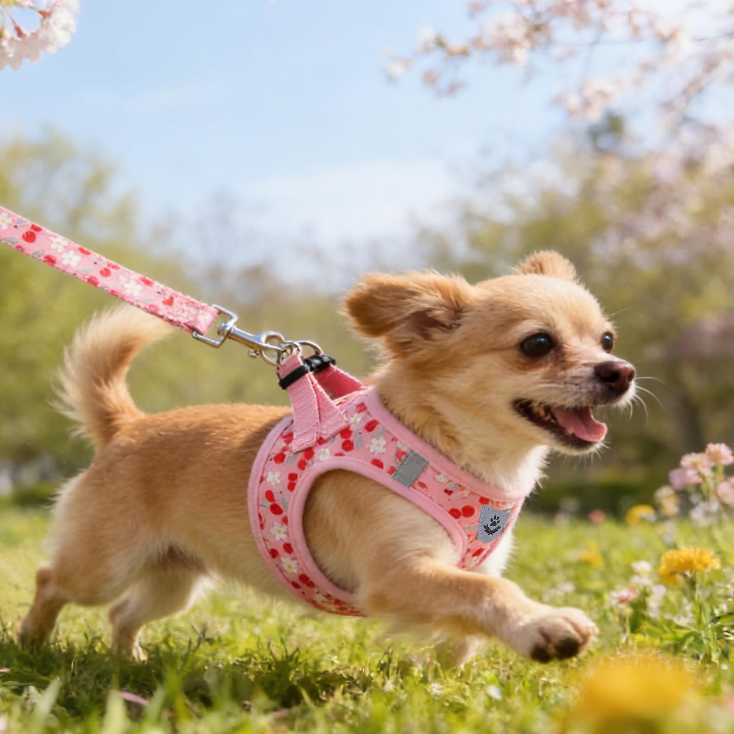 KOOLTAIL Dog Harness for Small Medium Dogs,Dog Harness and Leash Set