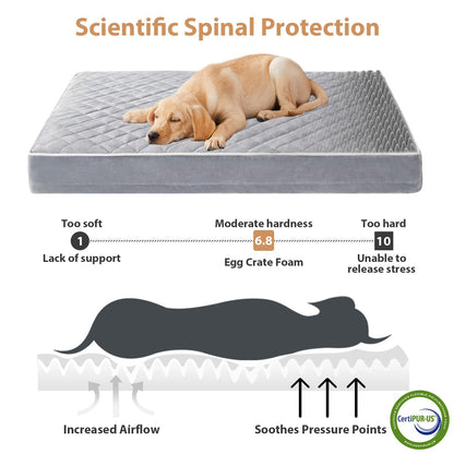 WNPETHOME Orthopedic Waterproof Extra Large Dogs Bed with Bed