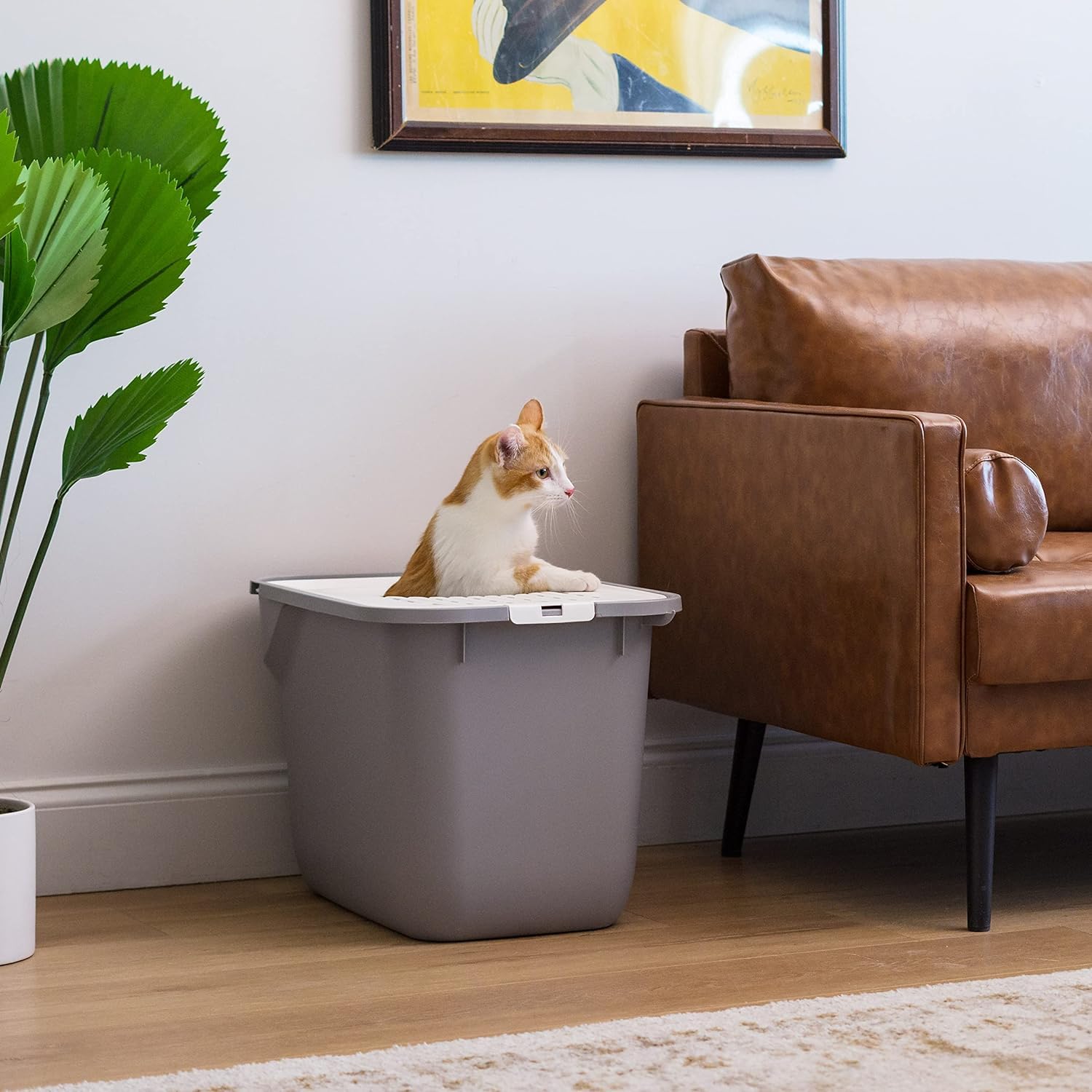 IRIS USA Cat Litter Box Large Top Entry with Lid, Enclosed Litter Box