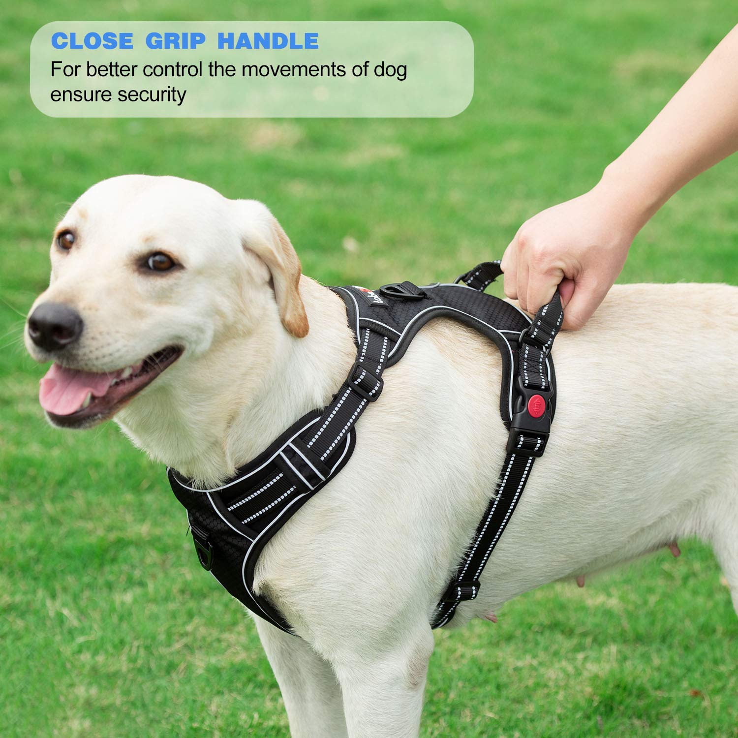 tobeDRI No Pull Dog Harness Adjustable Reflective Oxford Easy Leash