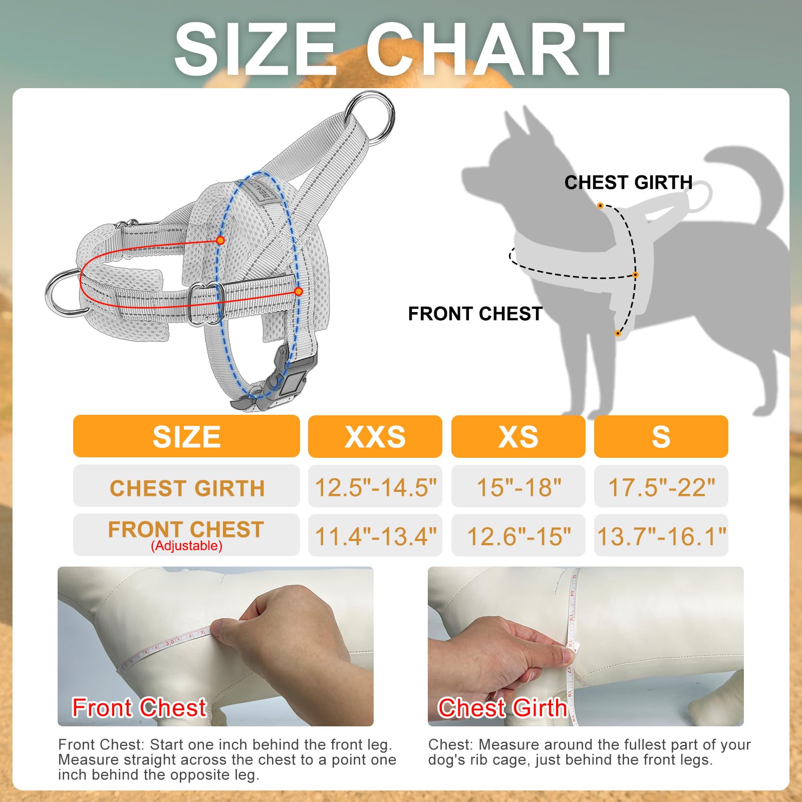 BEAUTYZOO Dog Harness Small Sized Dogs,2.0 Upgraded No Pull Leash