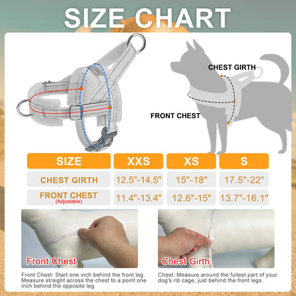 BEAUTYZOO Dog Harness Small Sized Dogs,2.0 Upgraded No Pull Leash