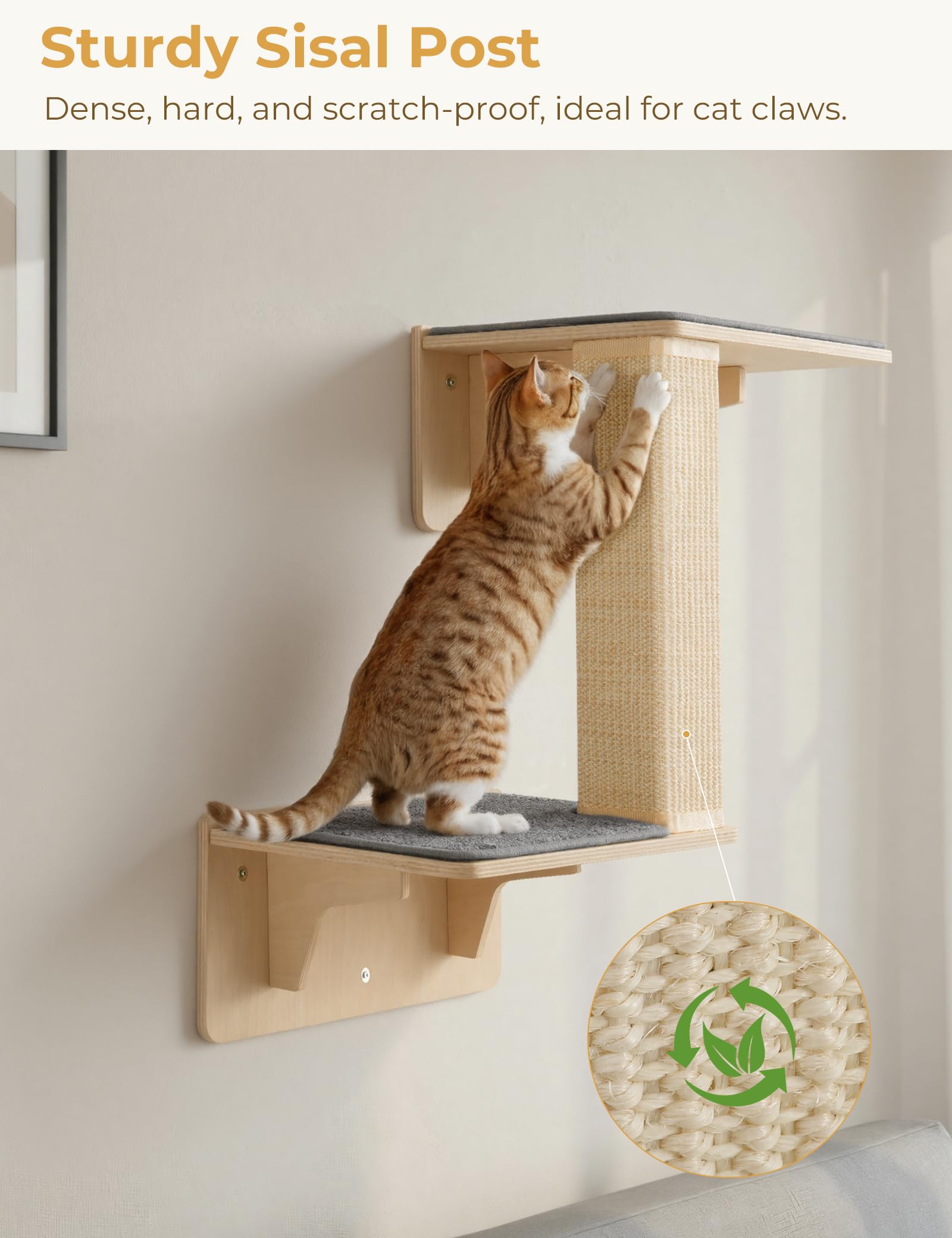 Pecute Double Cat Shelves with Scratching Post for Wall and Window Bed