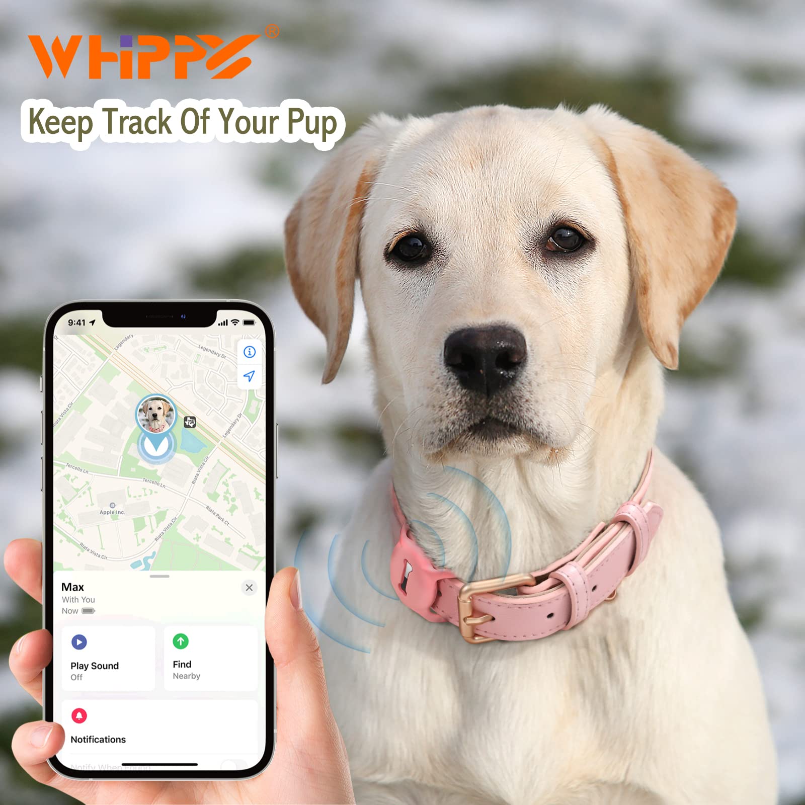 WHIPPY Airtag Leather Dog Collar GPS Tracker Air Tag Puppy Collar