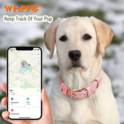 WHIPPY Airtag Leather Dog Collar GPS Tracker Air Tag Puppy Collar