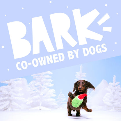 Barkbox Dog Advent Calendar Holiday Gift Box with 8 Festive Plush