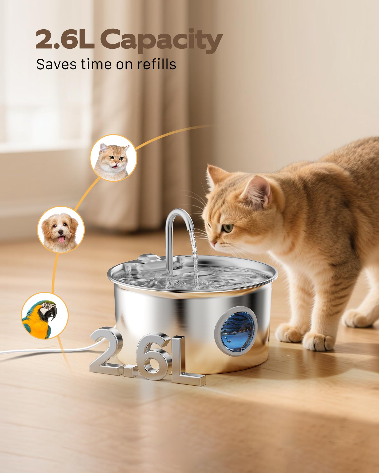 Pet Water Fountain Stainless Steel: Mental Cat Water Fountains Bowl